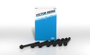 Kia Rio Cylinder Head Bolts - Victor Reinz - `01-`05